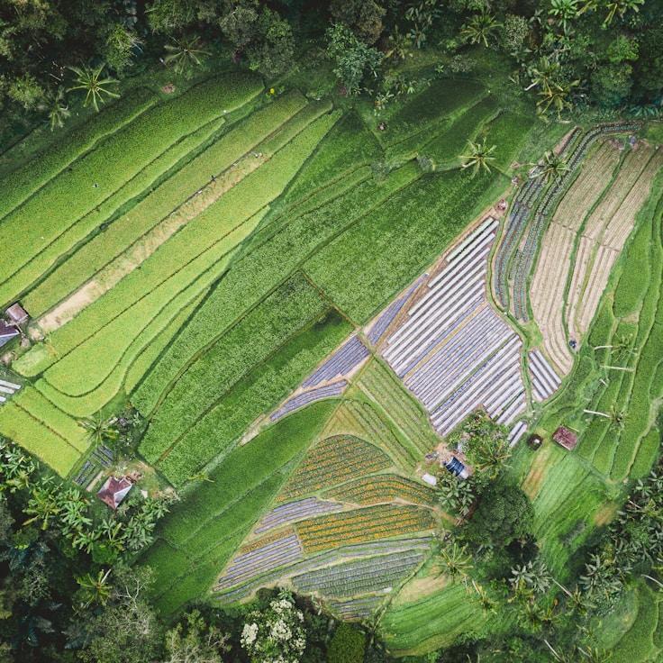 Entertainment zone at night in Switzerland